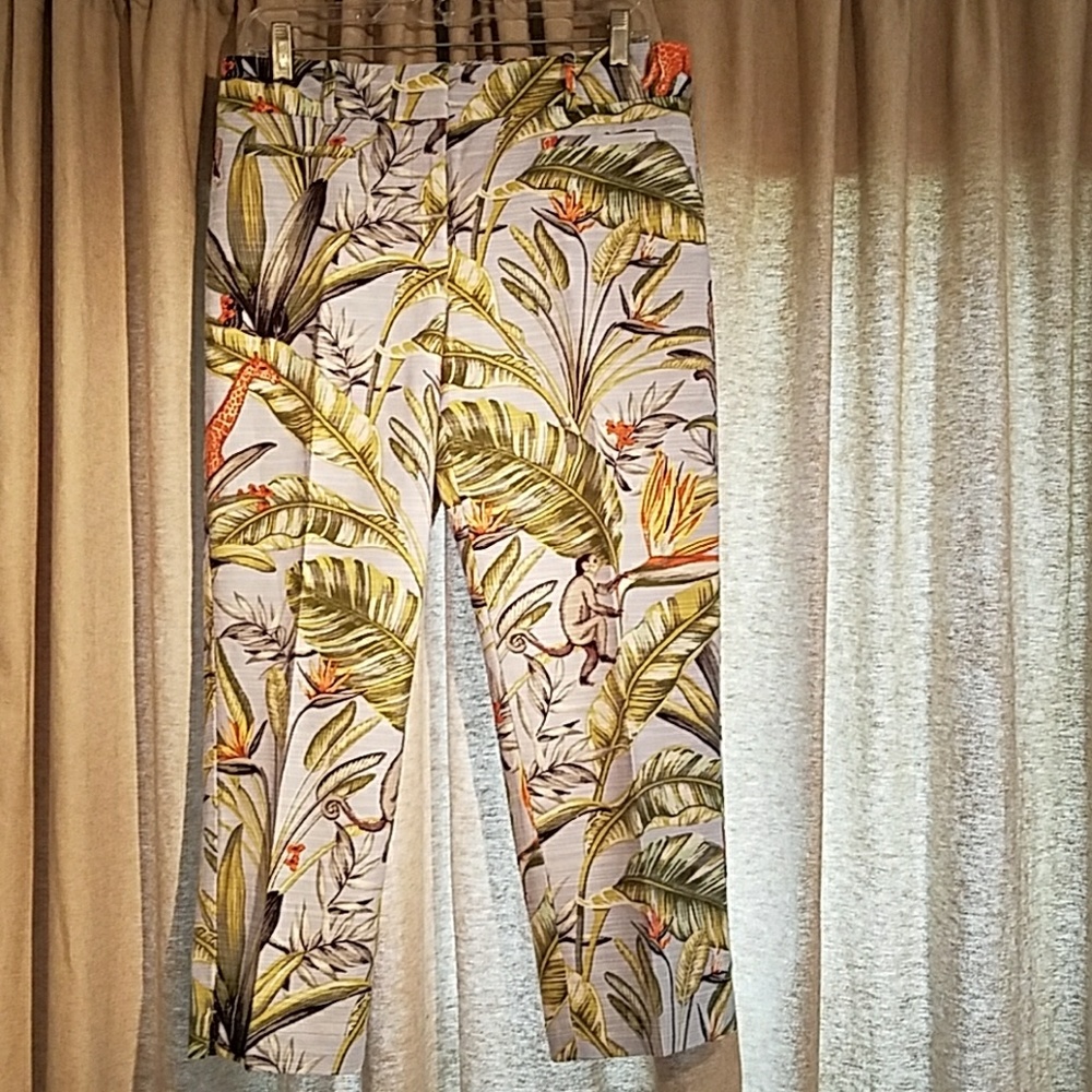 Ann Taylor Tropical Capris